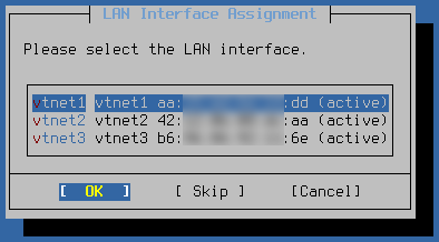 ../_images/09-network-select-lan.png