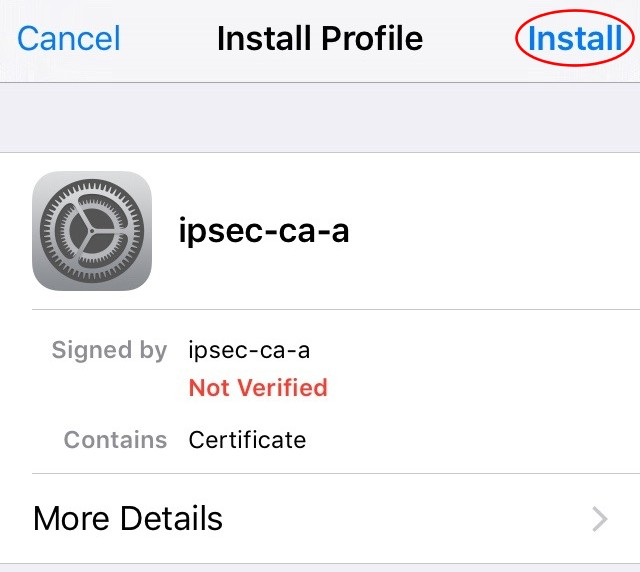 ../_images/ipsec-mobile-ikev2-ios-02-certinstall.png