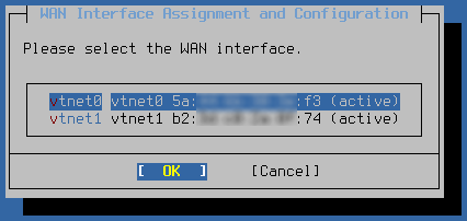 ../_images/netinstaller-network-select-wan.png