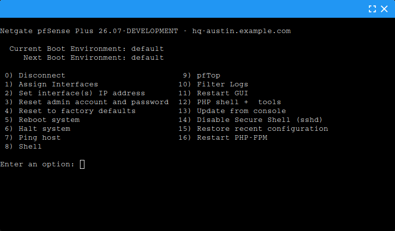 ../../_images/nexus-remote-console.png