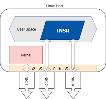 TNSR Bypasses the Kernel
